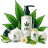 CBD Face Serum